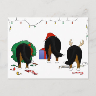 Nada empalma el navidad de un Berner
