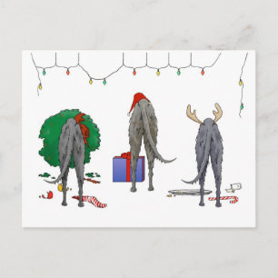 Nada empalma el navidad de un Deerhound