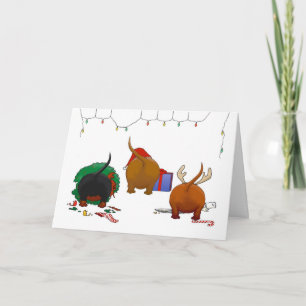 Nada empalma el navidad de un Doxie