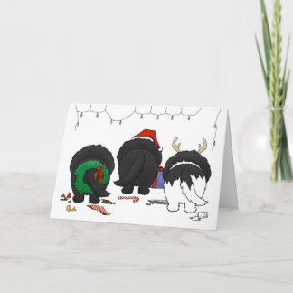 Nada empalma el navidad de un Newfie