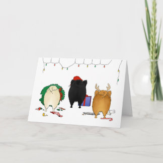 Nada empalma el navidad de un Pomeranian