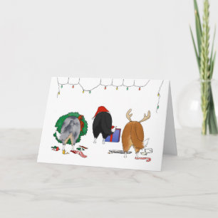 Nada empalma el navidad de un Sheltie