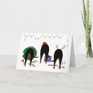 Nada empalma el navidad de un Swissie