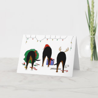 Nada empalma el navidad de un Swissie