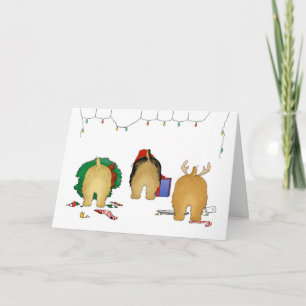 Nada empalma el navidad de una Norfolk