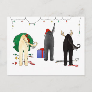 Nada empalma navidad afgano