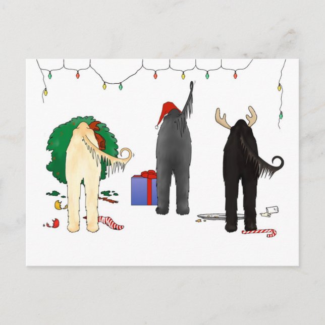 Nada empalma navidad afgano (Anverso)