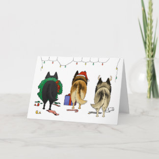 Nada empalma navidad belga