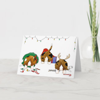 Nada empalma navidad de un afloramiento