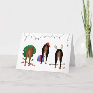 Nada empalma navidad de un Doberman
