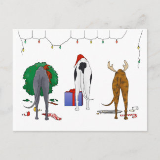 Nada empalma navidad de un galgo