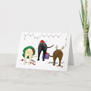 Nada empalma navidad de un laboratorio