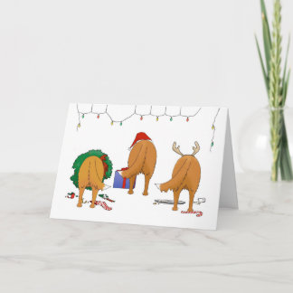Nada empalma navidad de un Toller