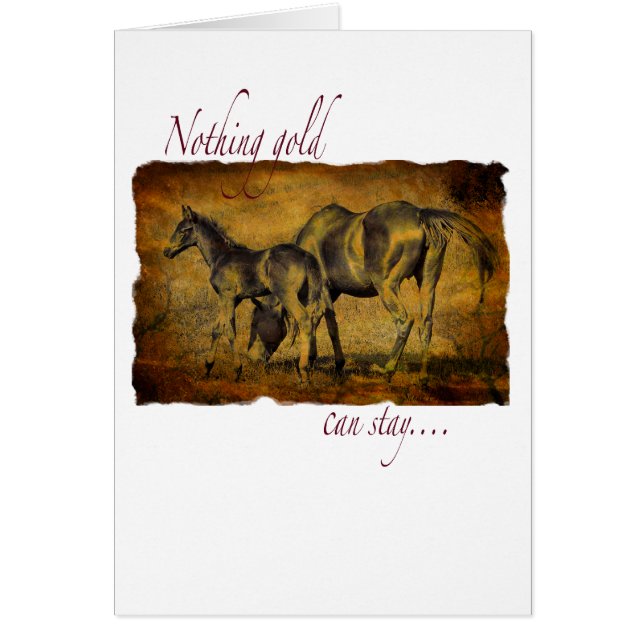 Nada oro puede permanecer (Frente)