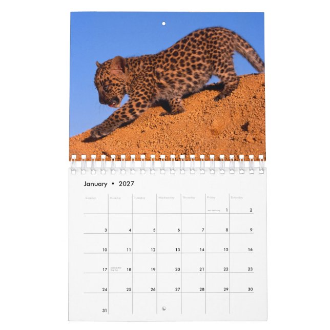 Nada pero leopardos - calendario 2012 (Jan 2027)