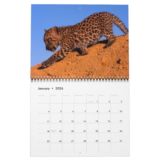 Nada pero leopardos - calendario 2013 (Jan 2026)