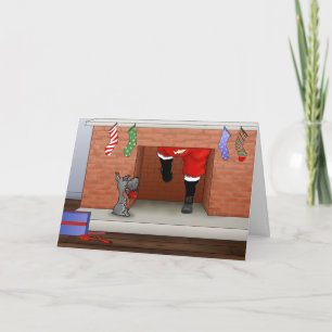 Nada, Pero Un Navidad De Schnauzer