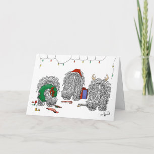 Nada, pero un Navidad Komondor