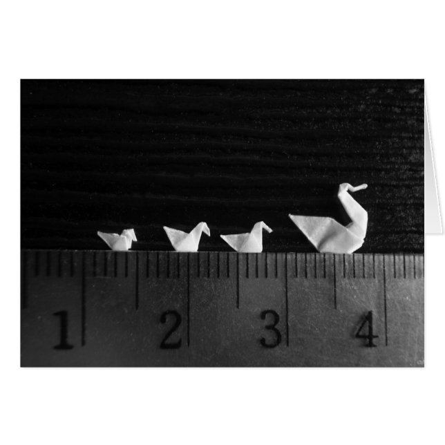 nadada de la familia de los 3cm (Anverso (Horizontal))