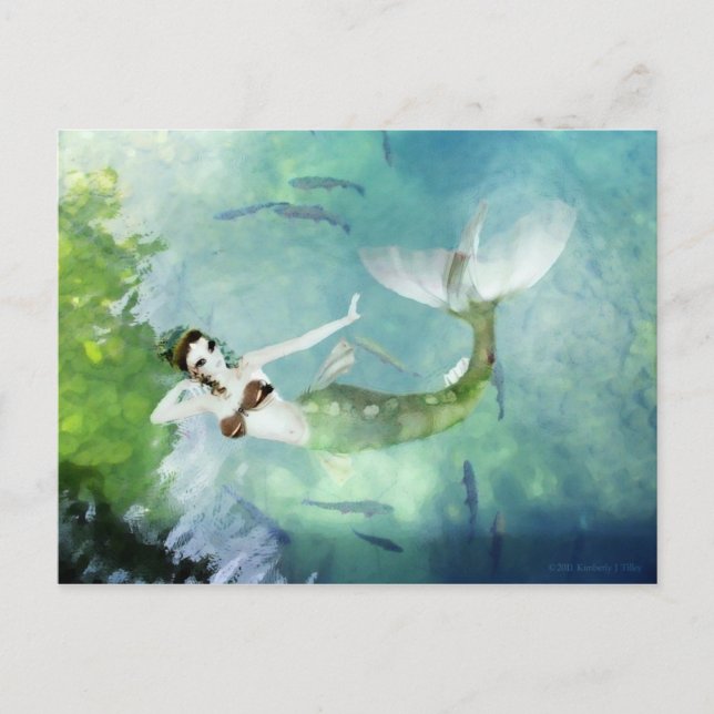 Nadando con postal de Salmón (Anverso)