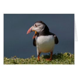 Nagorno-Puffin
