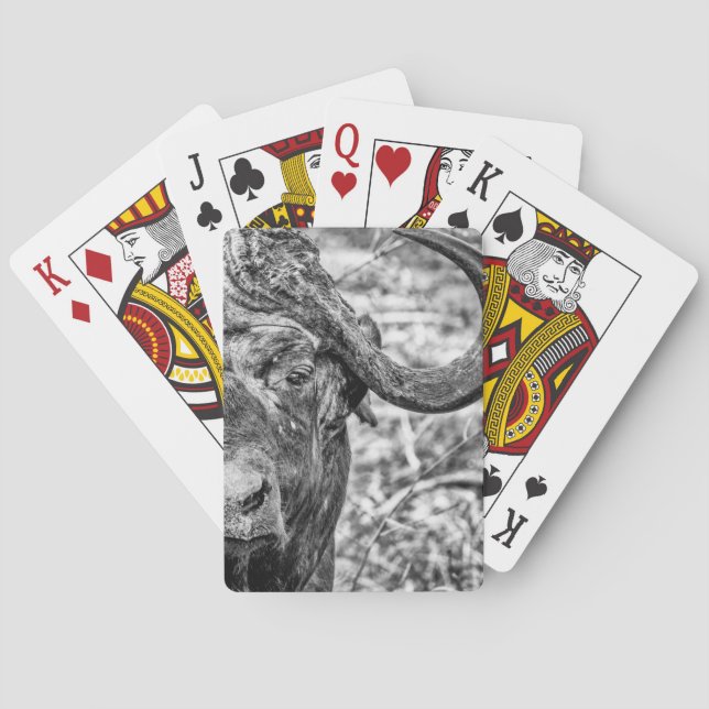 Naipes africanos del retrato del búfalo del cabo (Reverso)