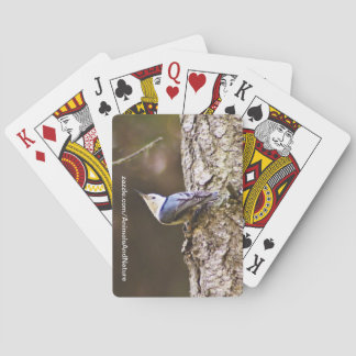 Naipes amarillos y azules del pájaro
