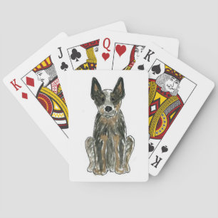 Naipes azules de Heeler del perro australiano del