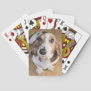 Naipes de Basset Hound