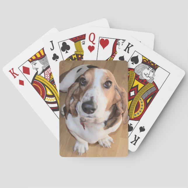 Naipes de Basset Hound (Reverso)