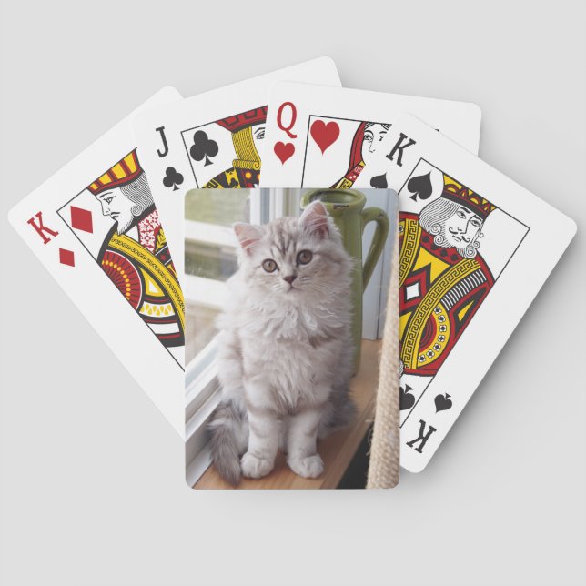 Naipes de encargo del gatito de la foto (Reverso)