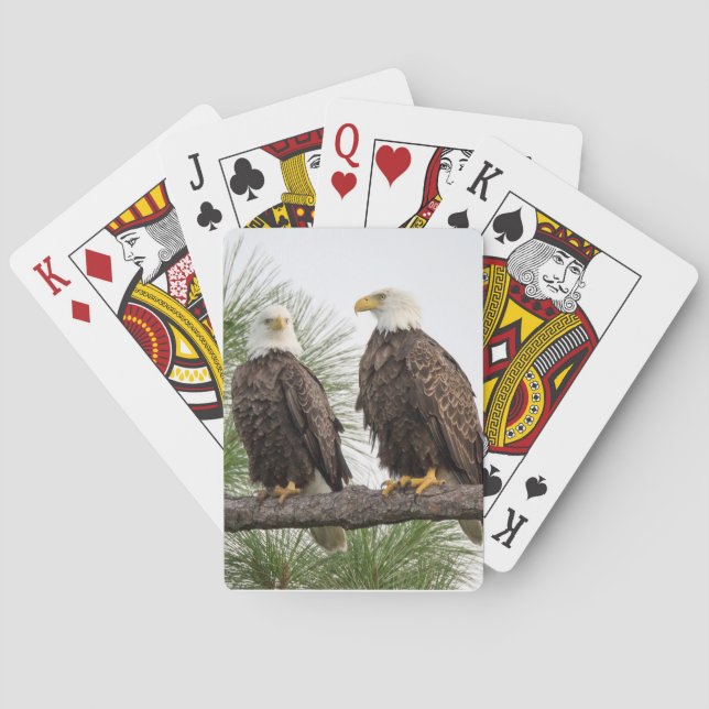 Naipes de H&O (Reverso)