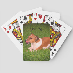 Naipes de Jack Russell