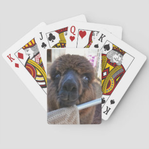 Naipes de la alpaca