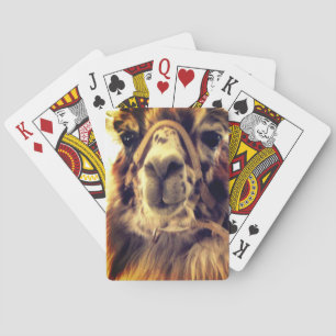 Naipes de la llama