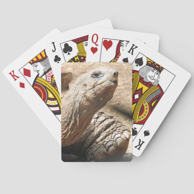 Naipes de la tortuga (Reverso)
