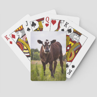Naipes de la vaca