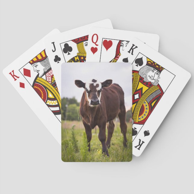 Naipes de la vaca (Reverso)