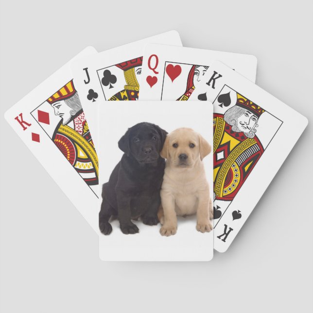 naipes de los perritos de Labrador (Reverso)