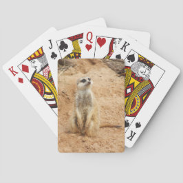 Naipes de Meerkat