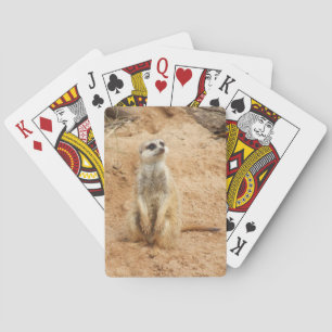 Naipes de Meerkat