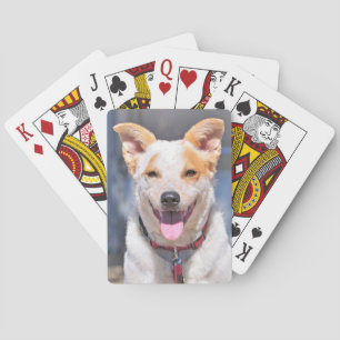 Naipes de risa del perro