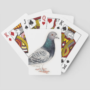 Naipes del arte del pájaro de la paloma