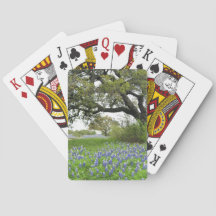 Naipes del Bluebonnet