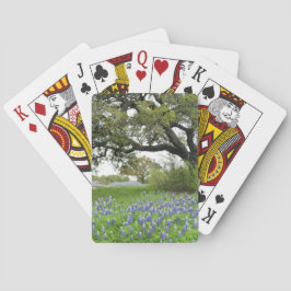 Naipes del Bluebonnet