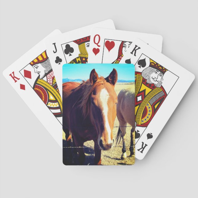 Naipes del caballo (Reverso)