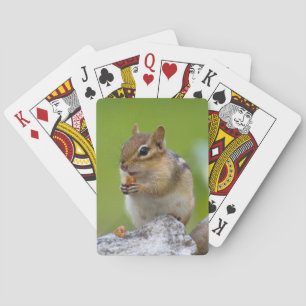 Naipes del Chipmunk