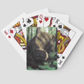 Naipes del dinosaurio