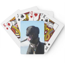 Naipes del galgo (4)