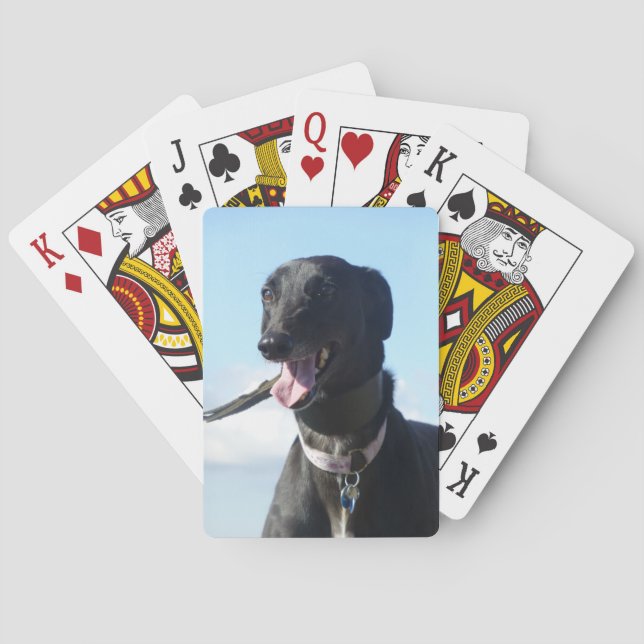 Naipes del galgo (4) (Reverso)